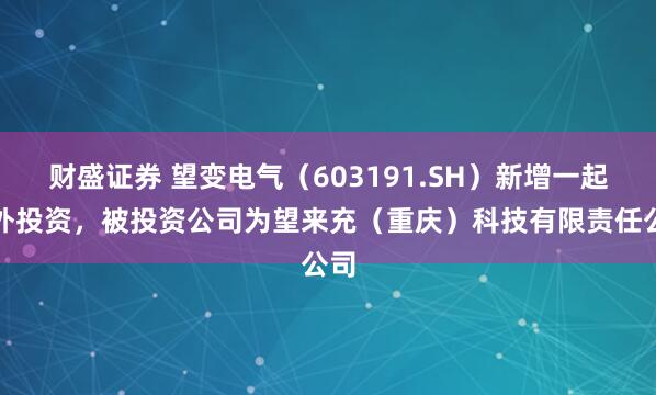 财盛证券 望变电气（603191.SH）新增一起对外投资，被投资公司为望来充（重庆）科技有限责任公司