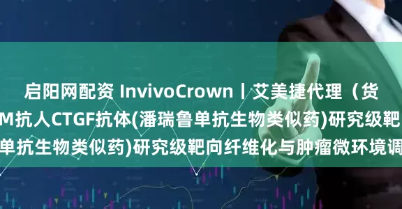 启阳网配资 InvivoCrown丨艾美捷代理（货号：SIM0189）BioSIM抗人CTGF抗体(潘瑞鲁单抗生物类似药)研究级靶向纤维化与肿瘤微环境调控研究