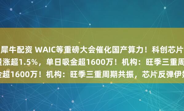 犀牛配资 WAIC等重磅大会催化国产算力!科创芯片50ETF(588750)放量涨超1.5%,单日吸金超1600万!机构:旺季三重周期共振,芯片反弹伊始